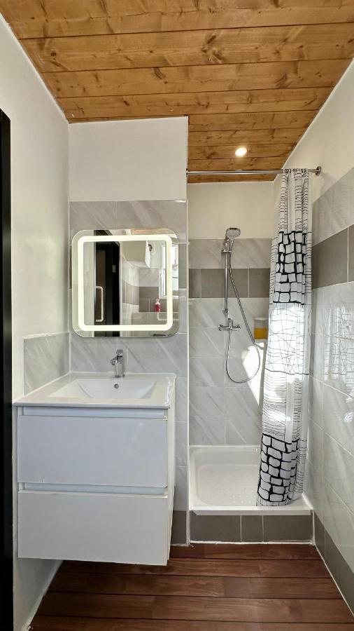 Lion'S Room - 2 Minute Walk From Palais Des Festivals And Beaches Cannes Ngoại thất bức ảnh